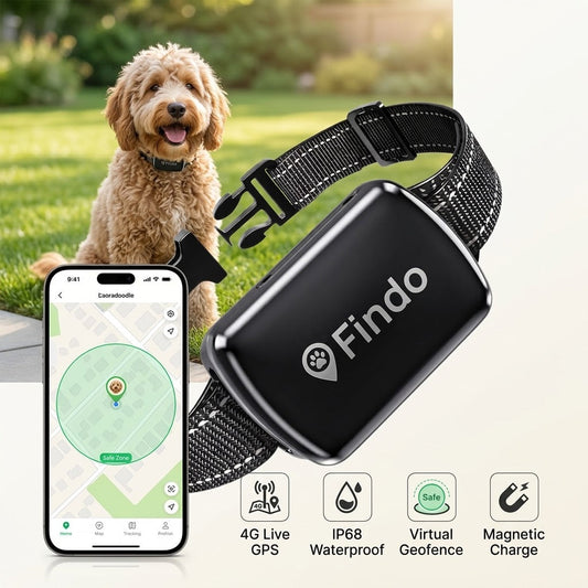 Why Every Pet Parent Needs Peace of Mind: Introducing the Findo™ Pro 4G GPS Smart Pet Tracker