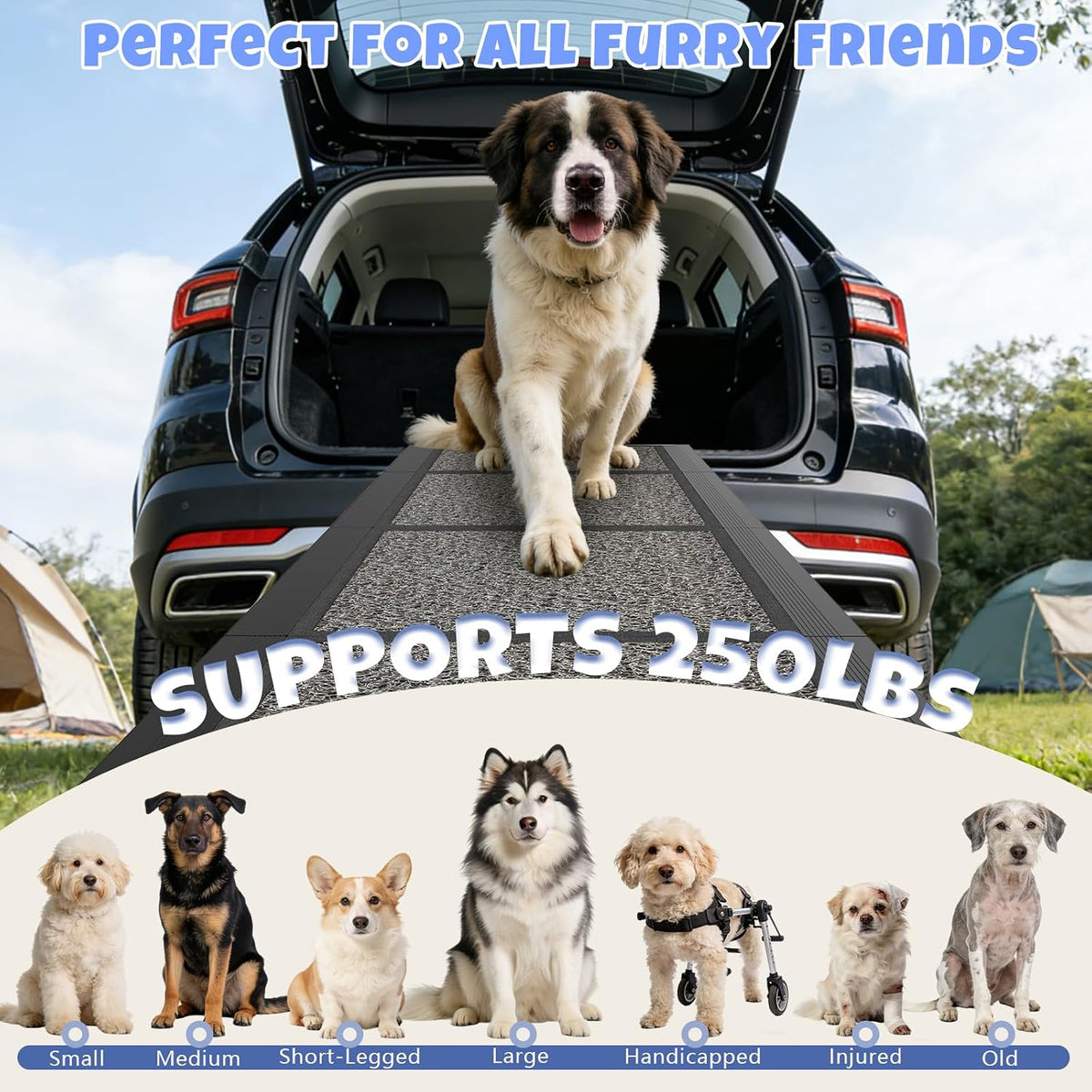 Findo™ Aero-Flex Ultralight Carbon Fiber Pet Ramp for SUVs & Trucks
