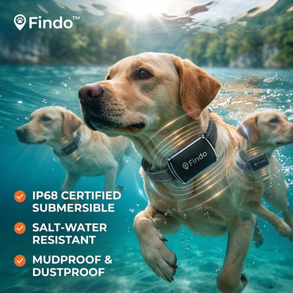 Findo™ Pro 4G GPS Smart Pet Tracker – IP68 Waterproof Real-Time Dog and Cat Locator
